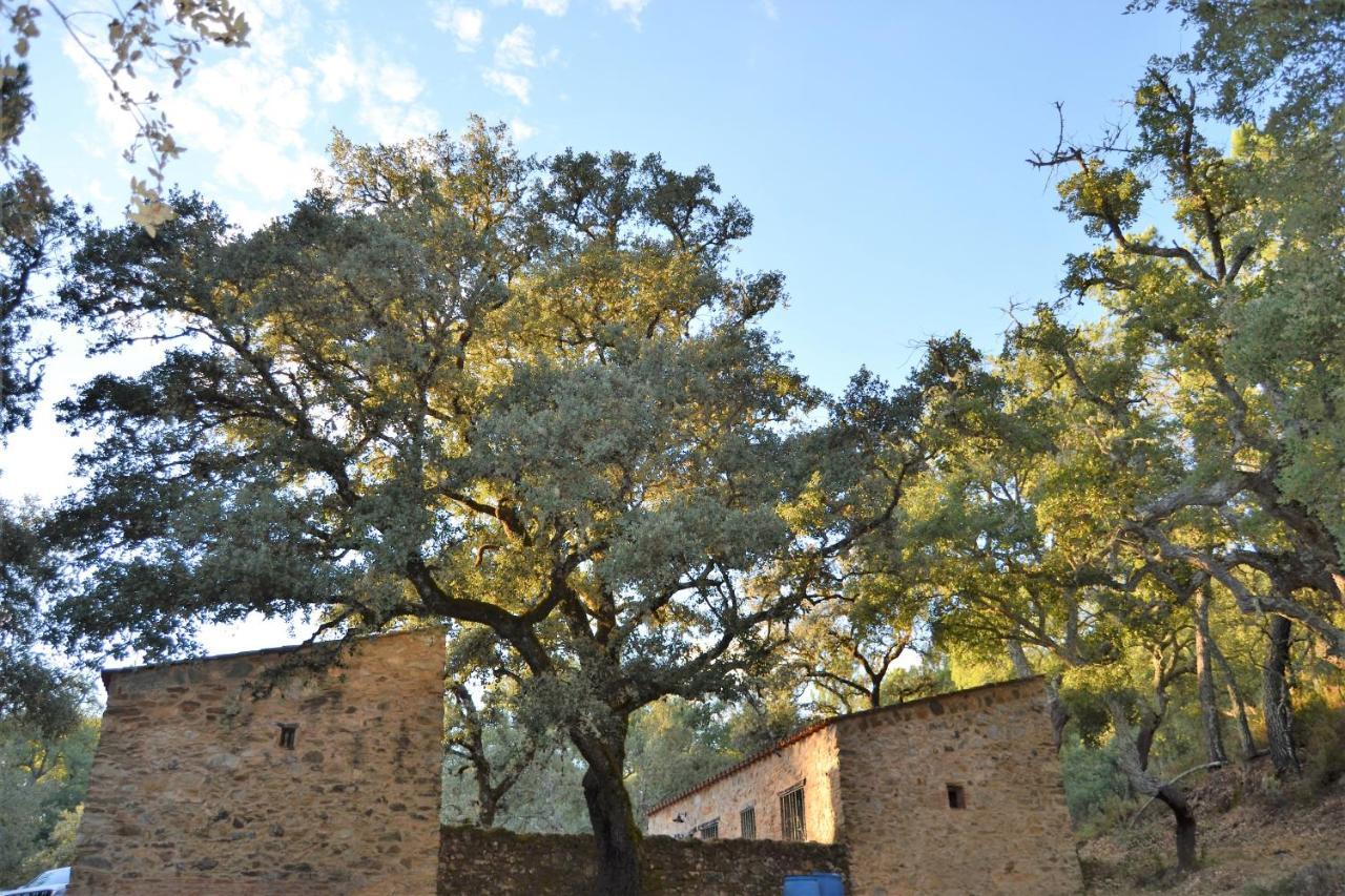 Nature Space Jabugo Exterior foto
